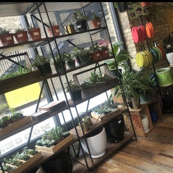 MOD GEN - Plants - Gift Shops Near Me - Milwaukee, Wisconsin