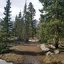 Photo of Maybird Gulch Trail