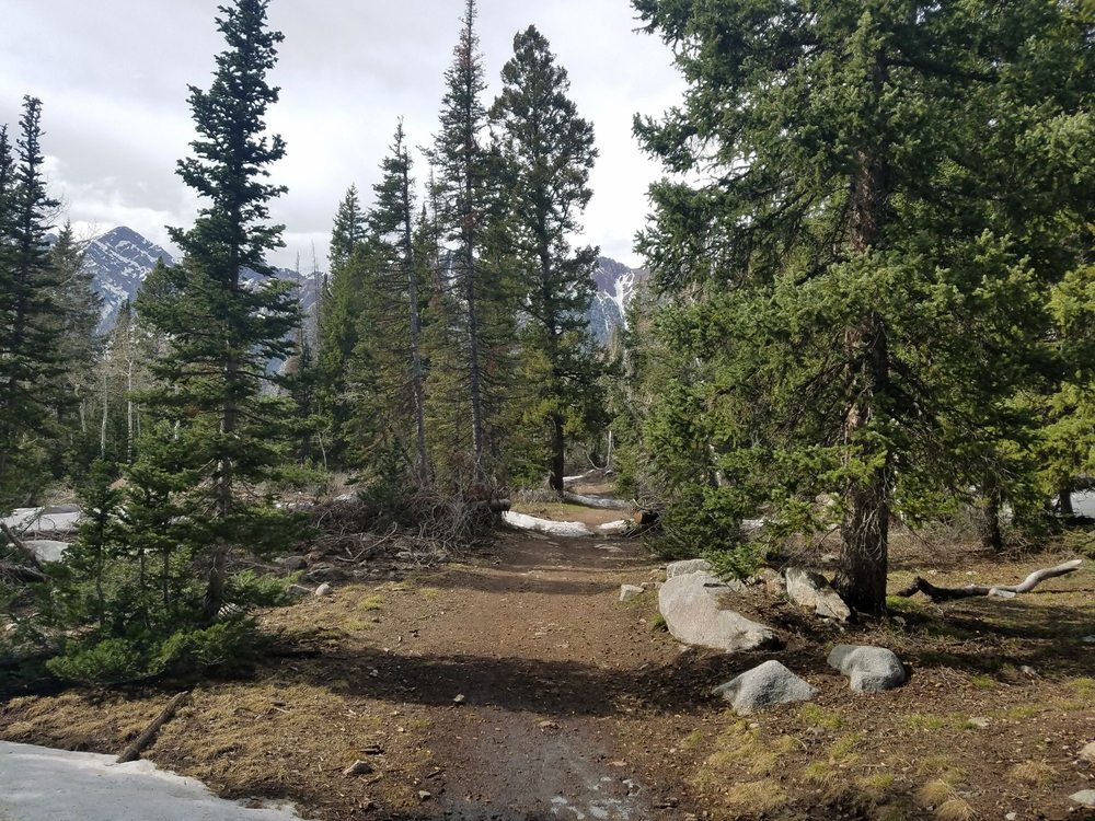 Maybird Gulch Trail Logo