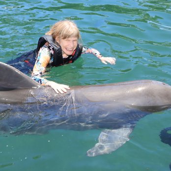 Dolphin Quest - Tours Near Me - Honolulu, Hawaii