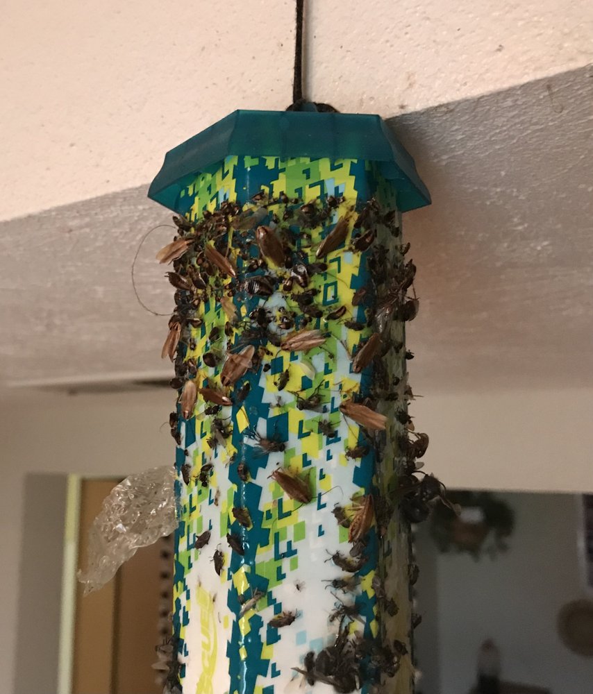 PROSITE SPOKANE Updated June 2024 16 Photos Spokane, Washington