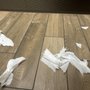 Photo of Wendy's