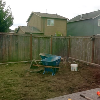 Sunrise Landscaping - During - Tree Services Near Me - Olympia, Washington Sunrise Landscaping - During - Tree Services Near Me - Olympia, Washington