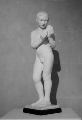 Museo Superior de Bellas Artes Evita | Palacio Ferreyra by null