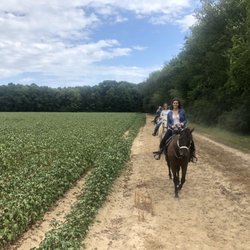 Liberty Hall Horse Farm