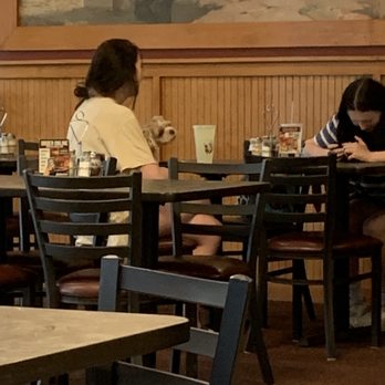 Bellacino's Pizza & Grinders - Dog in restaurant - Pizza Near Me - Simpsonville, South Carolina