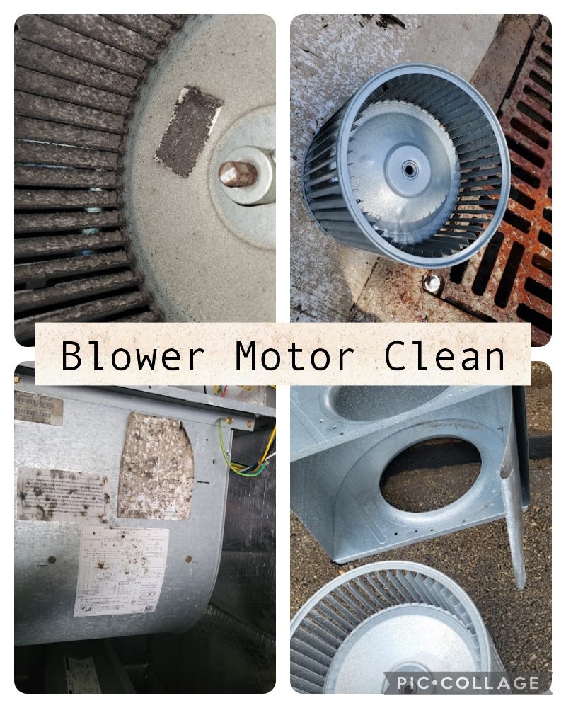 Veteran Pride - veterans service organization in San Antonio, TX