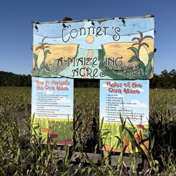 Conner's A-Maize-Ing Acres