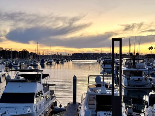 UOVO Marina del Rey by null