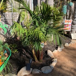 EdenView Gardening Services - Mulch , weeding and trimming of landscape.