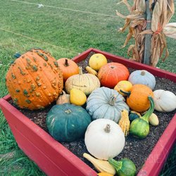 Robintide Farms