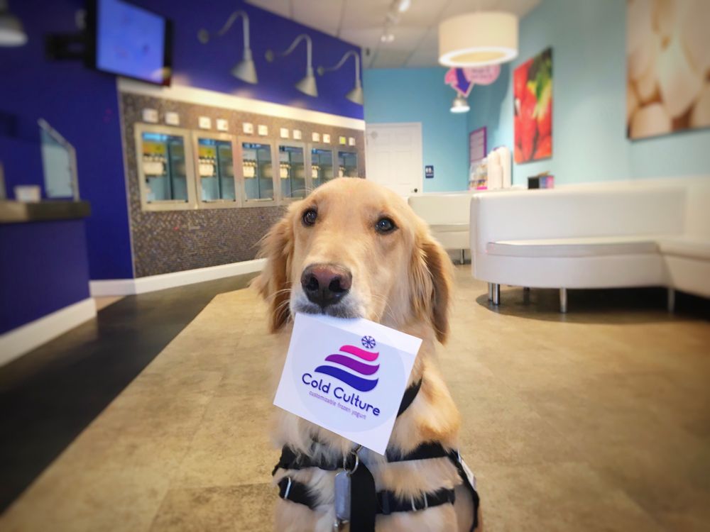 COLD CULTURE FROZEN YOGURT CLOSED 250 Racine Dr, Wilmington, North