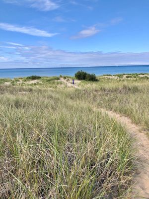 Ludington State Park Beach by null