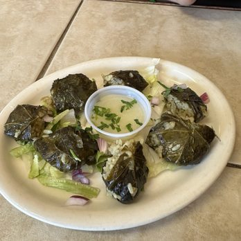 Xenia Kebab Grille - Dolmas - Mediterranean Near Me - Harrisonburg, Virginia