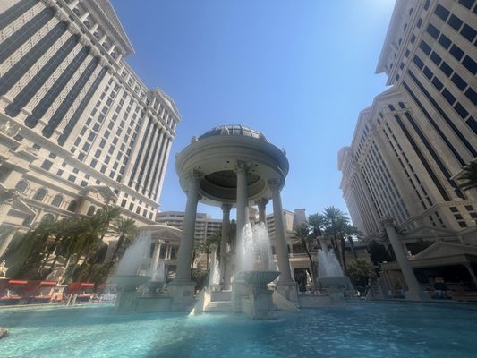 Venus Pool + Lounge by null