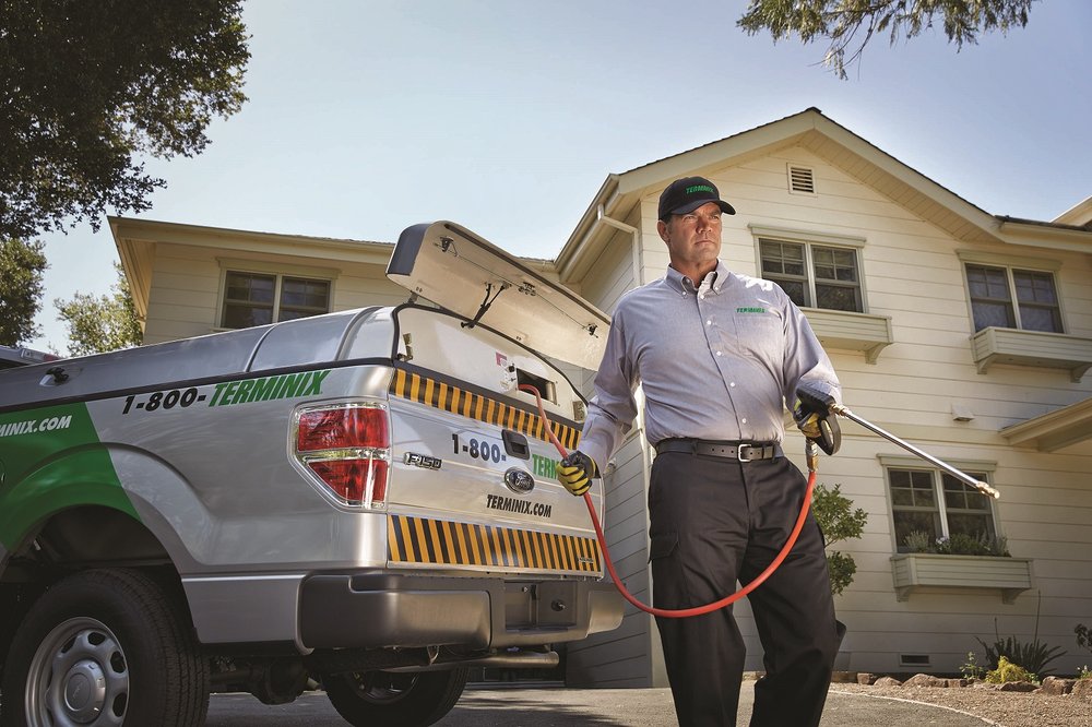 CARE PEST & WILDLIFE CONTROL CLOSED Updated July 2024 11 Photos