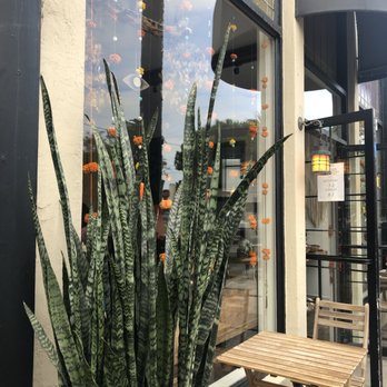 Kettle & Stone - Outside - Coffee & Tea Near Me - San Diego, California Kettle & Stone - Outside - Coffee & Tea Near Me - San Diego, California