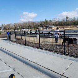 Fletcher Rest Area - Rest "dog park" break for Ali.