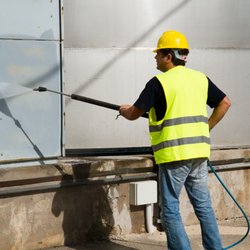 Budget Clean & Painting