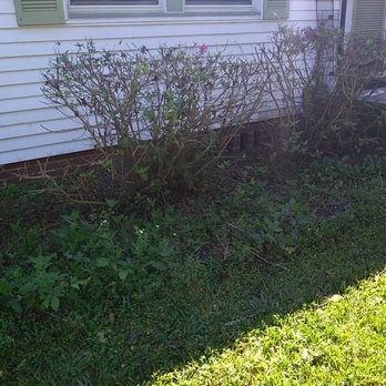 Roberts Cutting Edge - Before: Front Yard - Lawn Services Near Me - Jacksonville, Florida Roberts Cutting Edge - Before: Front Yard - Lawn Services Near Me - Jacksonville, Florida