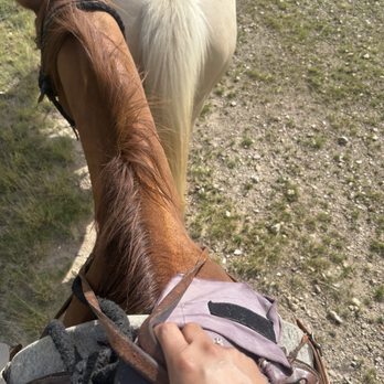 GF Ranch Trail Rides - Horseback Riding Near Me - Fredericksburg, Texas GF Ranch Trail Rides - Horseback Riding Near Me - Fredericksburg, Texas