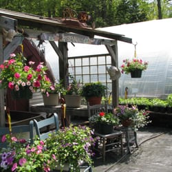 Delightful Odds & Herbs - Wonderful eye candy of a shop.