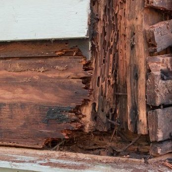 Geffroy Termite Control - Pest Control Near Me - San Jose, California Geffroy Termite Control - Pest Control Near Me - San Jose, California