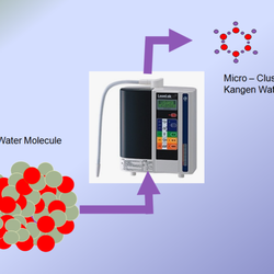 Portland Kangen Water - Kangen Portland