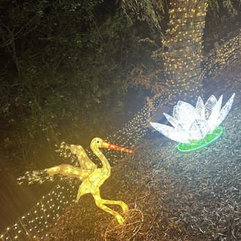 Oregon ZooLights - Zoos Near Me - Portland, Oregon Oregon ZooLights - Zoos Near Me - Portland, Oregon