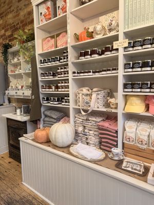 Kitten and the Bear by null