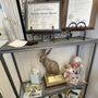 Photo of Bunnies Matter Rescue