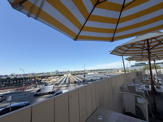 Sailor's Choice by null