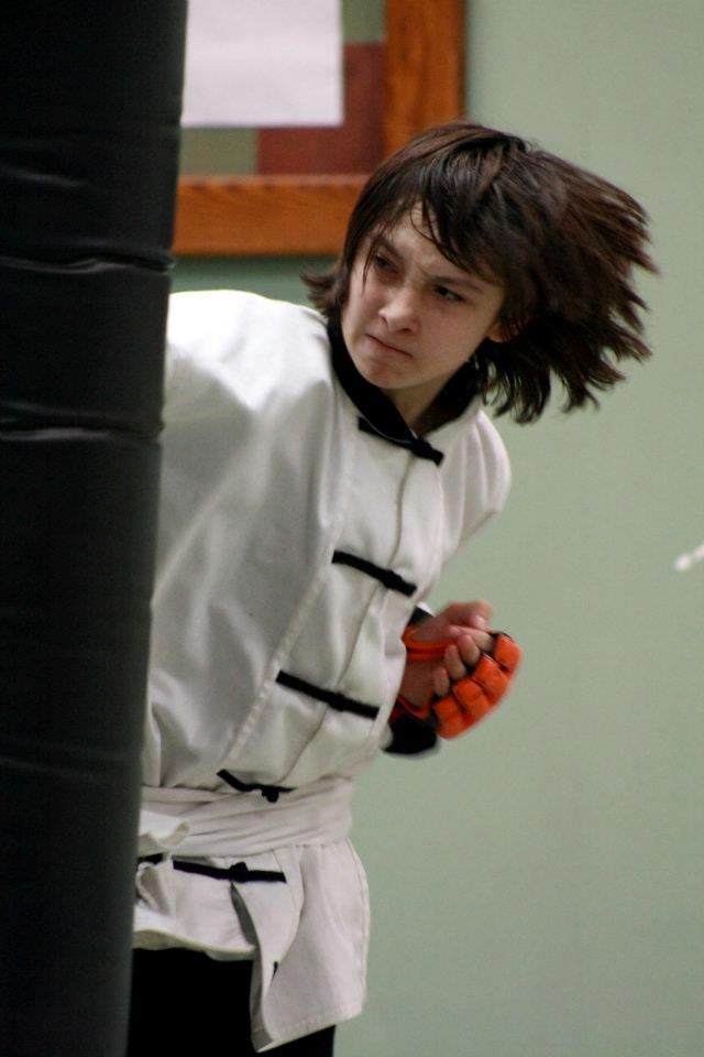 American Academies of Martial Arts