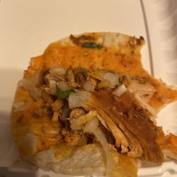 Patricio's Mexican Taqueria - Dried out chicken, not even shredded.
