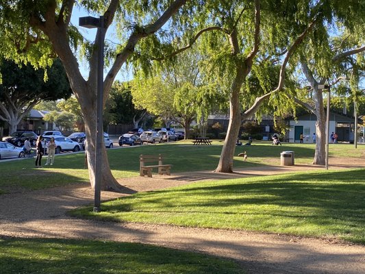 Douglas Park by null
