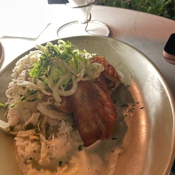 Latitudes - Sunset Key Cottages - Pan Seared Yellowtail Snapper - Seafood Near Me - Key West, Florida