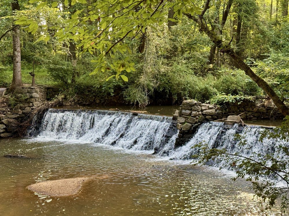 Social spots from Lullwater Park