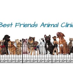 Best Friends Animal Clinic - Cover of website