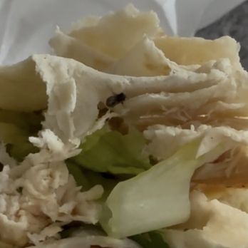 Ted's Pizza House - BUGS - Pizza Near Me - Worcester, Massachusetts