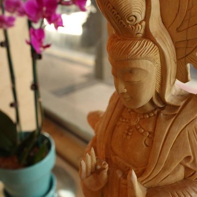 Rainbow Bridge Natural Food by null