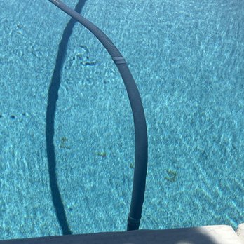 Cox Pool Service & Repair - Pool Cleaners Near Me - Clovis, California