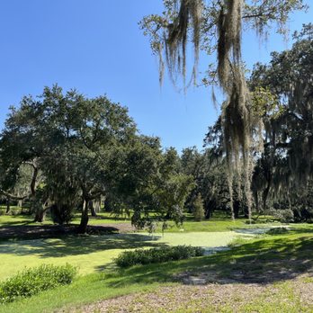 Jungle Gardens - Botanical Gardens Near Me - Avery Island, Louisiana