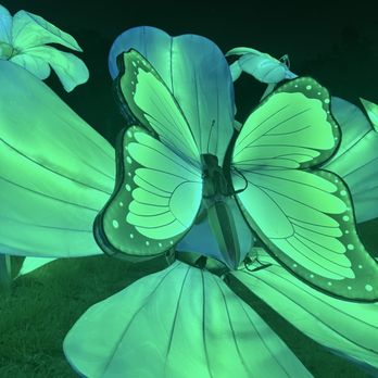 Houston Botanic Garden - Venues & Event Spaces Near Me - Houston, Texas Houston Botanic Garden - Venues & Event Spaces Near Me - Houston, Texas