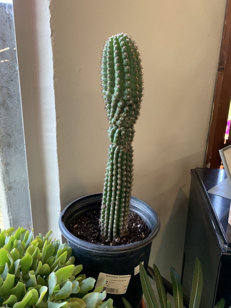 PORT TOWNSEND GARDEN CENTER Updated September 2024 22 Photos 406