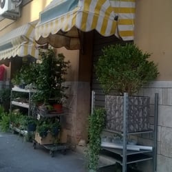 Mini Garden
