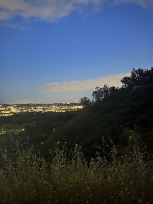 Amir's Garden by null