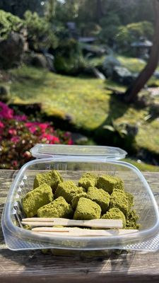 Japanese Tea Garden by null