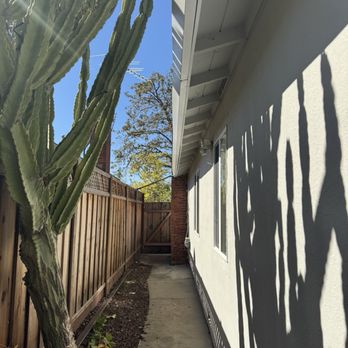 JJI Tree Service - Tree Services Near Me JJI Tree Service - Tree Services Near Me