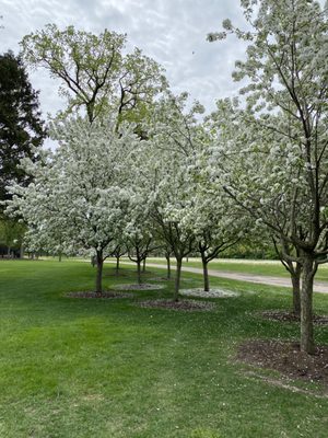 George George Memorial Park by null