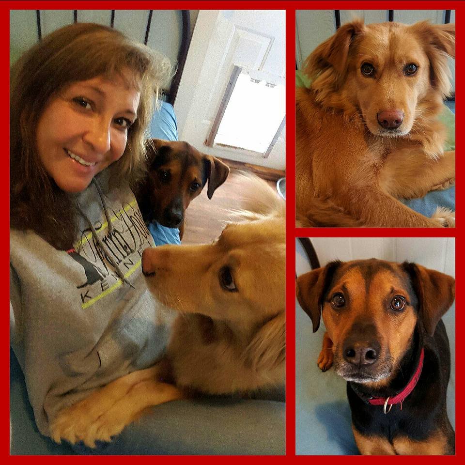 FARM HOUSE KENNELS Updated September 2024 10 Photos 4525 Union Church Rd, Carthage, North